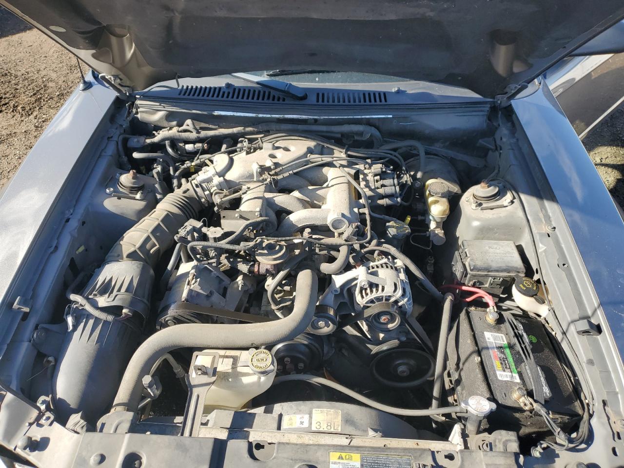 2002 Ford Mustang VIN: 1FAFP44472F178973 Lot: 81333684