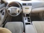 2009 Toyota Camry Hybrid за продажба в Memphis, TN - Minor Dent/Scratches