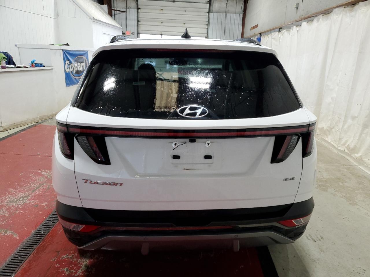 2023 Hyundai Tucson Limited VIN: 5NMJECAE5PH205888 Lot: 78988914