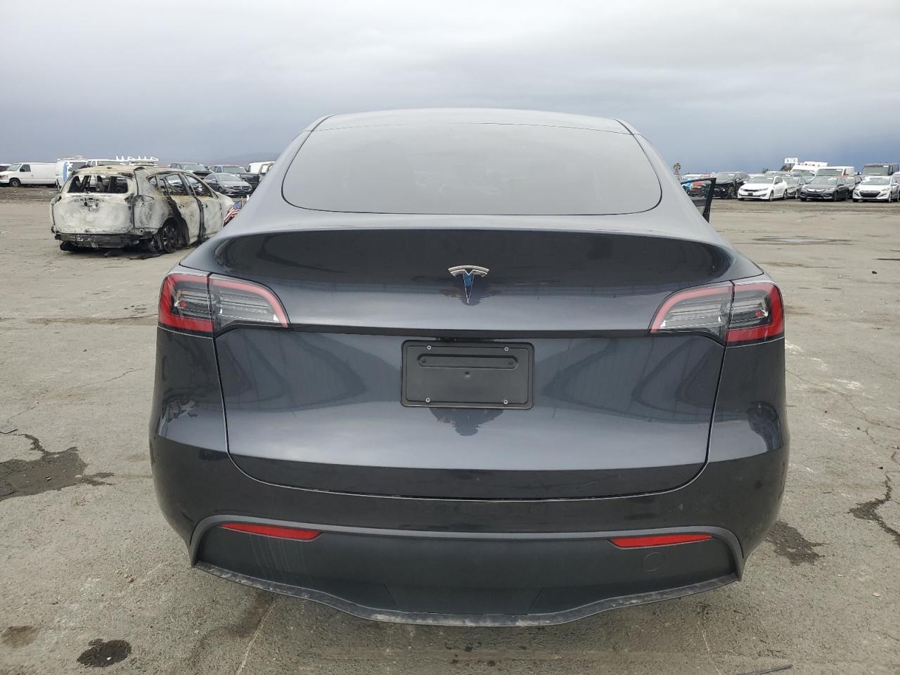 2024 Tesla Model Y VIN: 7SAYGDED4RF101660 Lot: 81806494