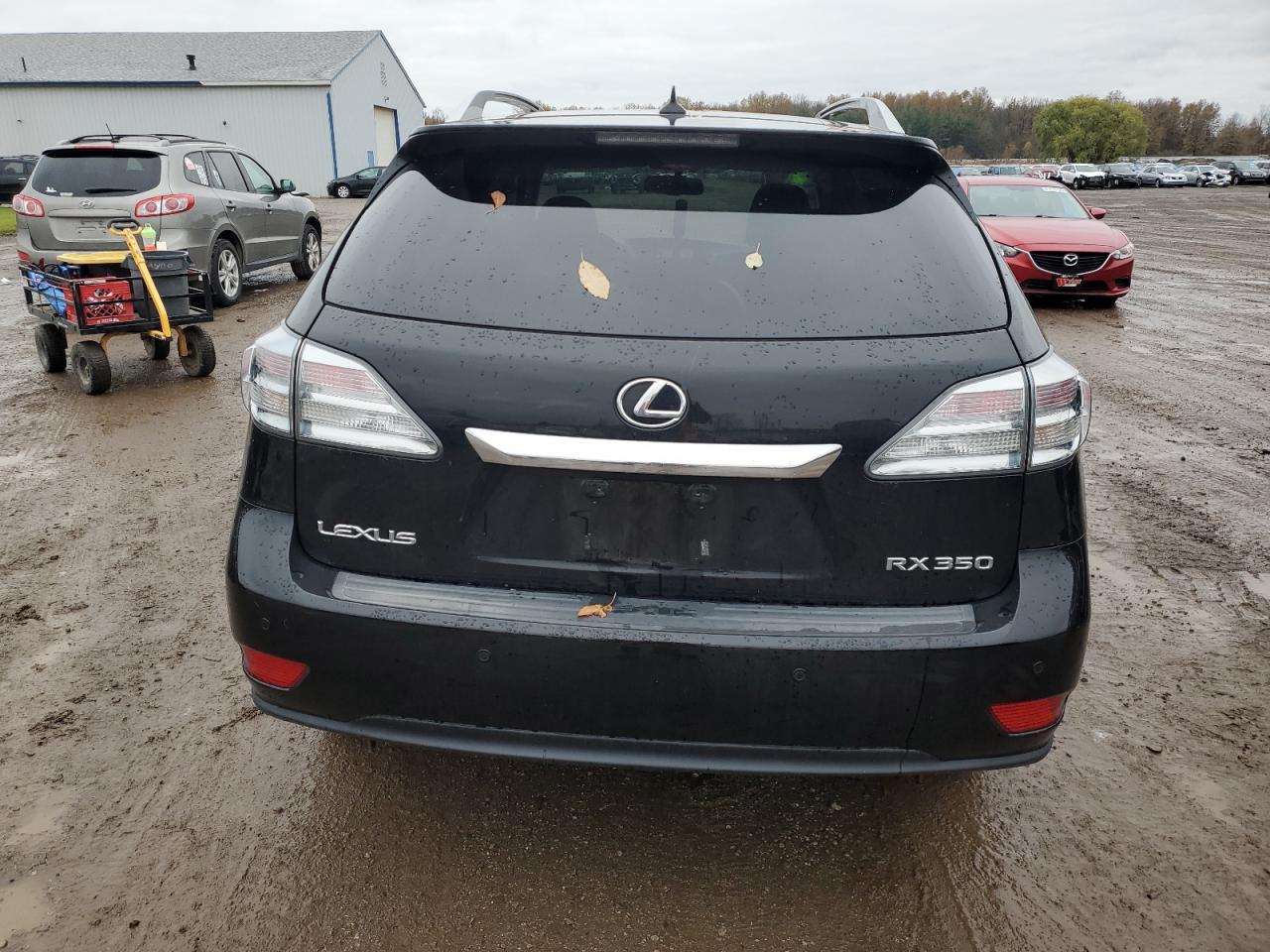 2010 Lexus Rx 350 VIN: 2T2BK1BA7AC074162 Lot: 81275214