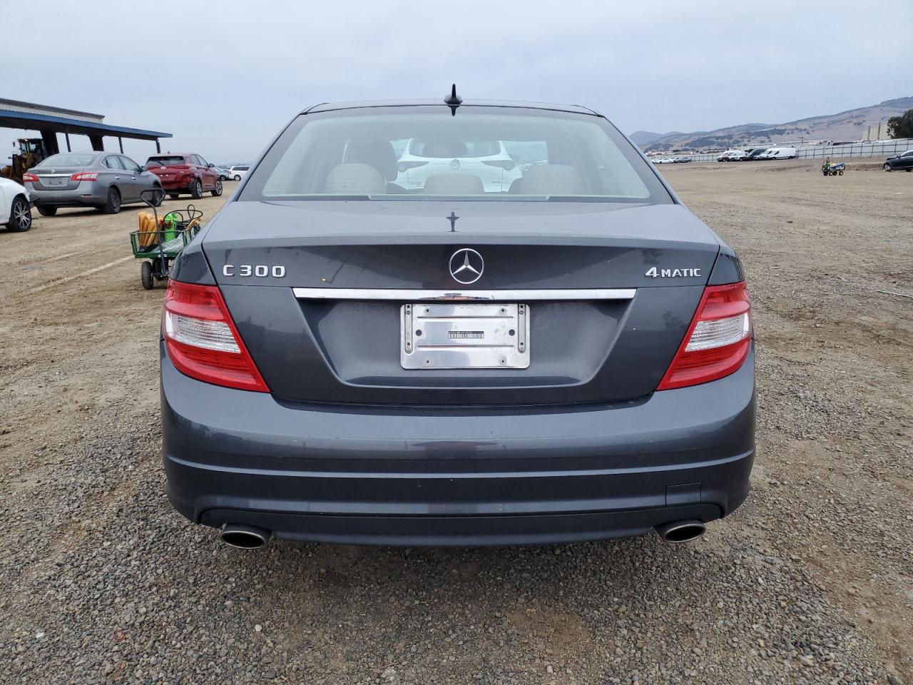 2010 Mercedes-Benz C 300 4Matic VIN: WDDGF8BB1AF439755 Lot: 80585614