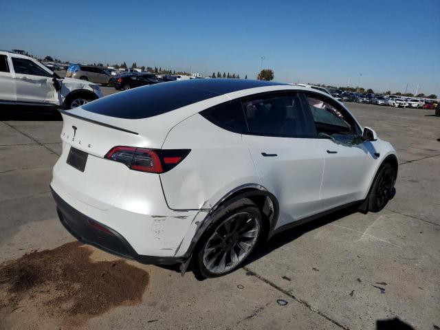  TESLA MODEL Y 2023 Белы