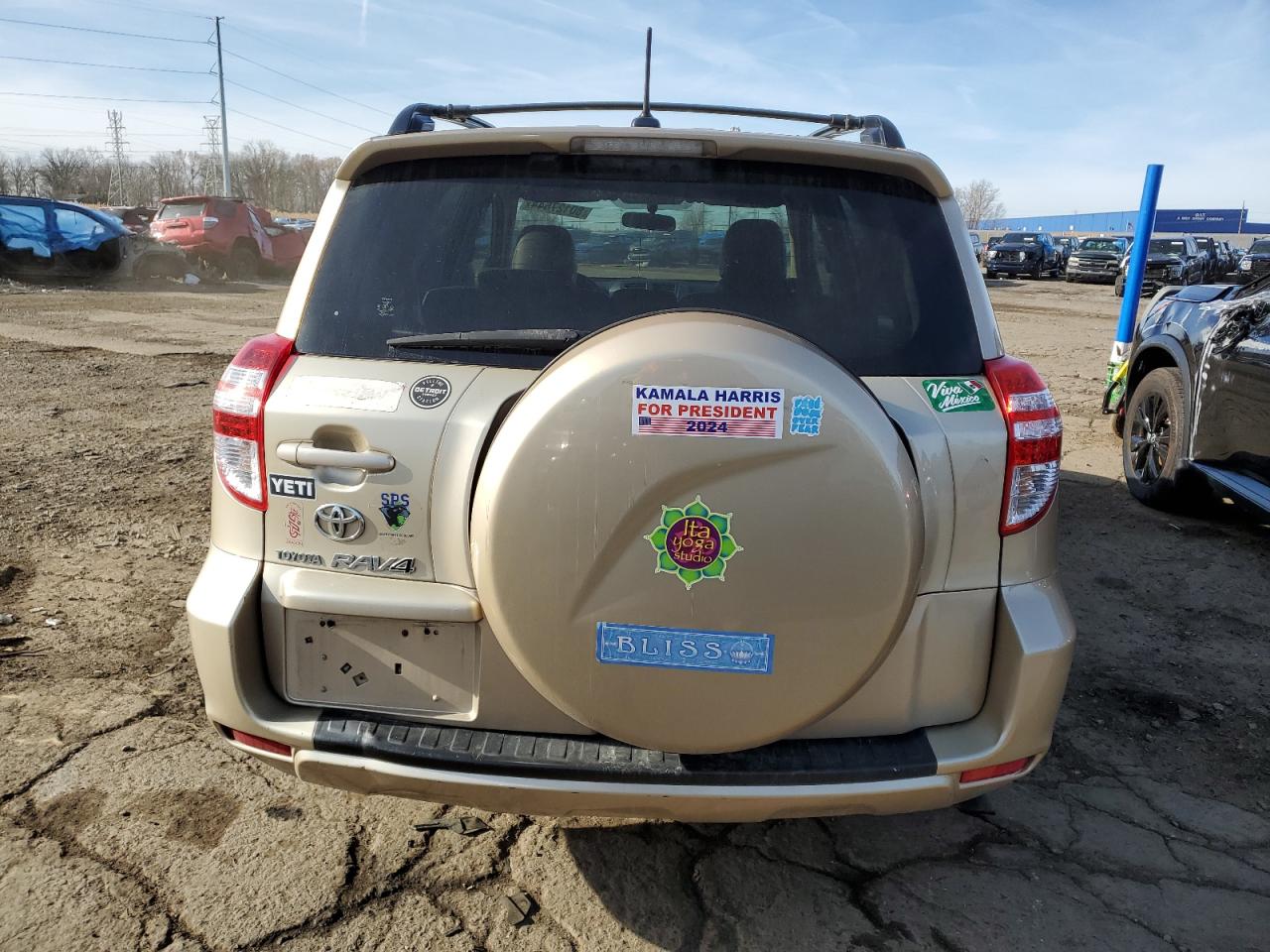 2009 Toyota Rav4 VIN: JTMZF35VX95007288 Lot: 80127644