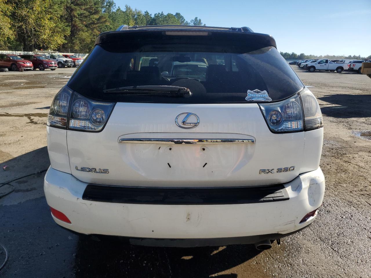 2004 Lexus Rx 330 VIN: JTJGA31U040041052 Lot: 80133664