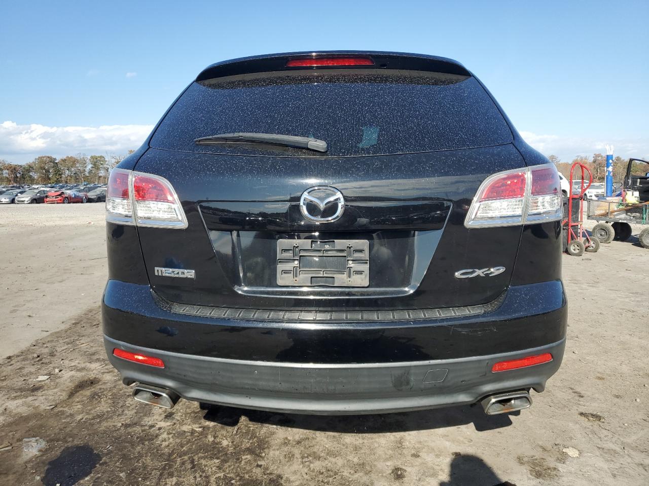 2009 Mazda Cx-9 VIN: JM3TB38A990168553 Lot: 78654234