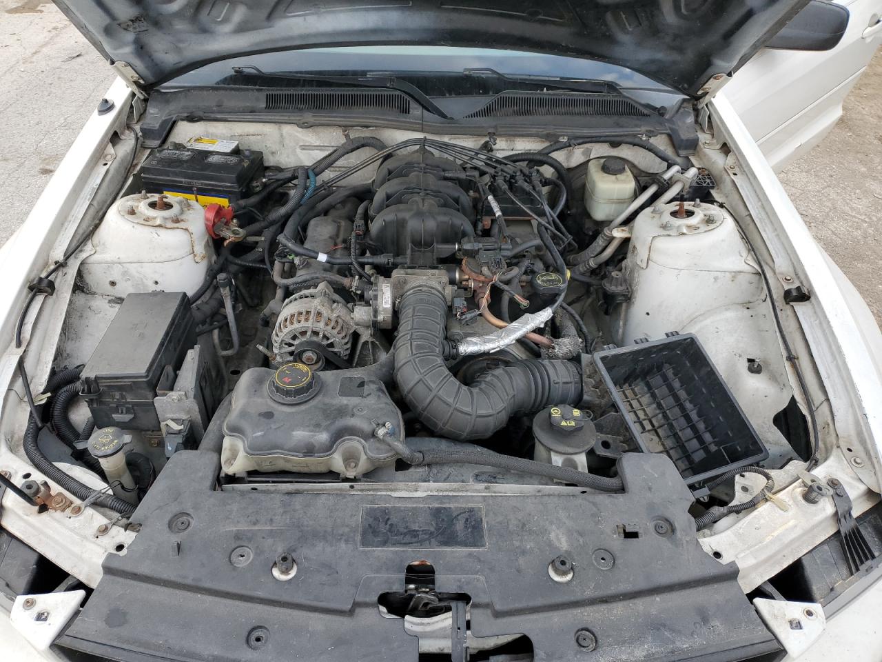 2007 Ford Mustang - Image 11