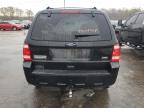 2011 Ford Escape Xlt للبيع في Louisville، KY - Side