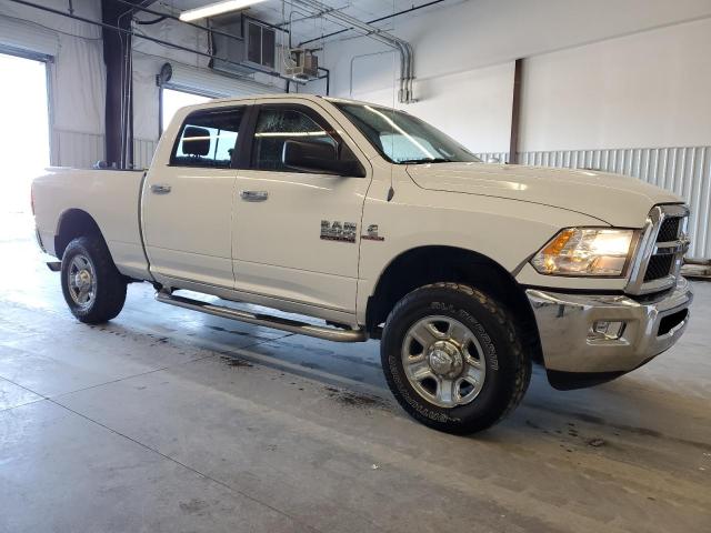 Pickups RAM All Models 2014 White