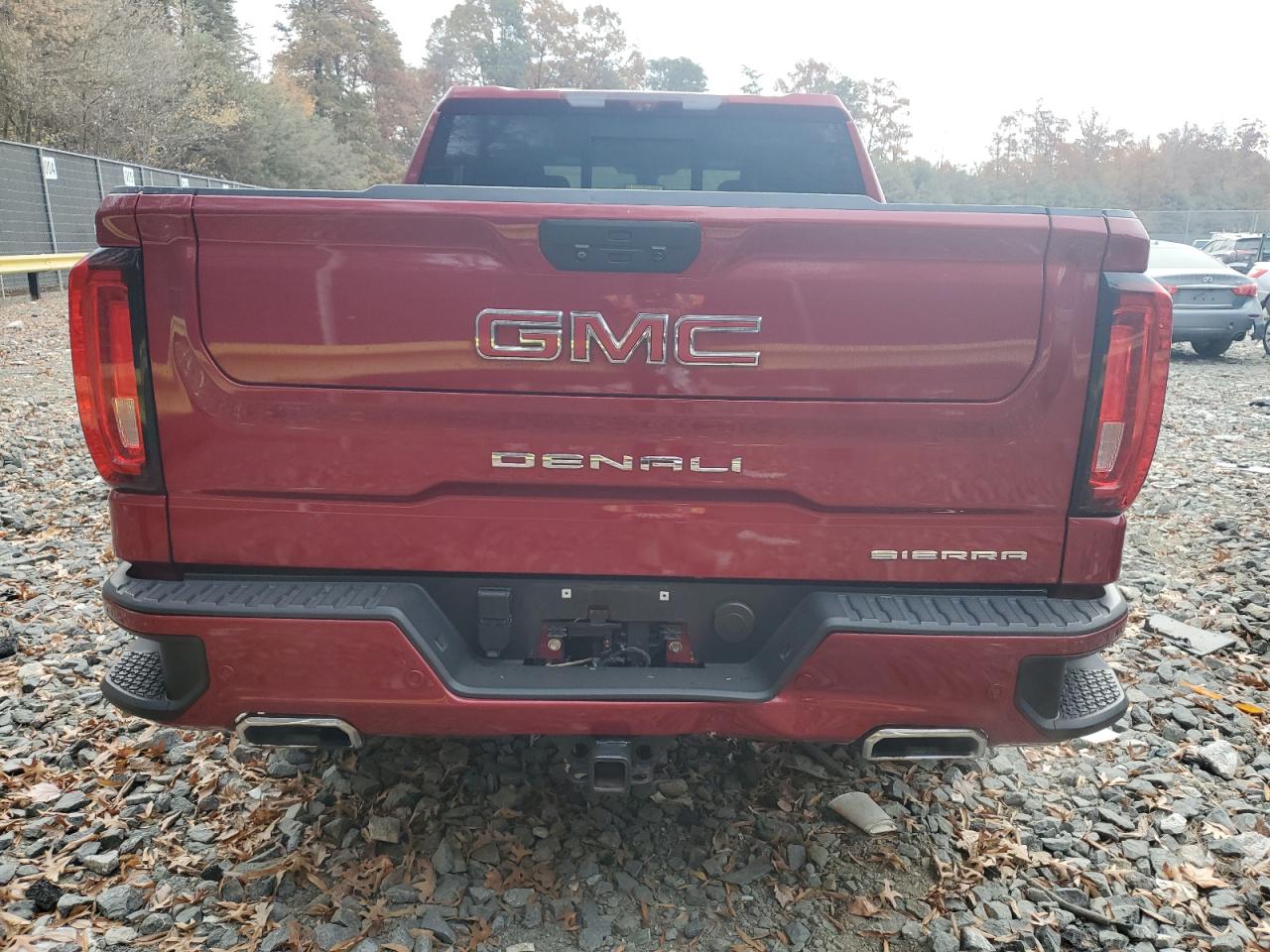 2020 GMC Sierra K1500 Denali VIN: 1GTU9FEDXLZ218033 Lot: 79274614