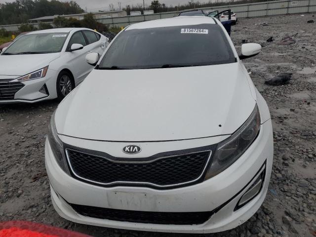  KIA OPTIMA 2015 Белы