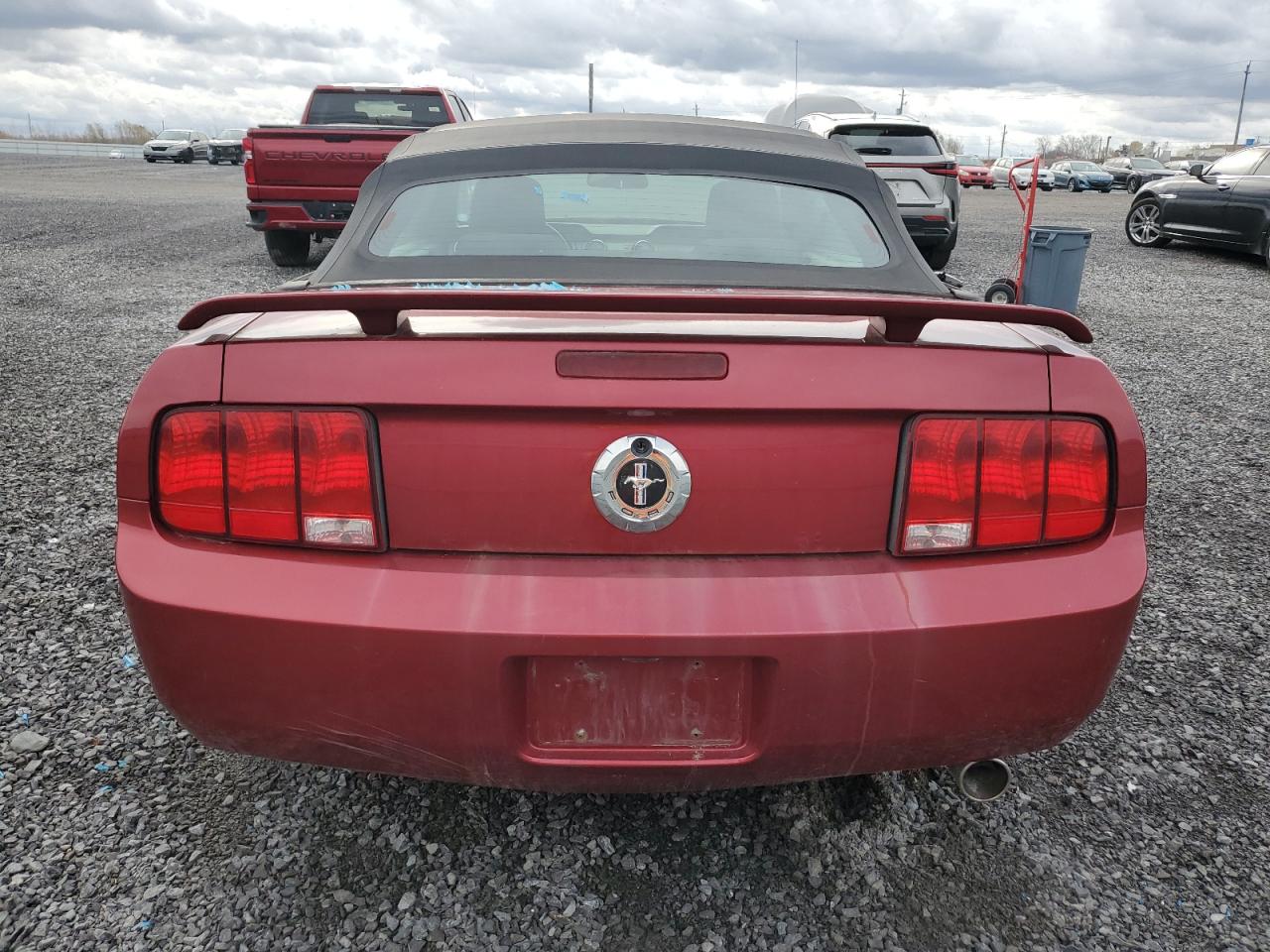 2006 Ford Mustang VIN: 1ZVFT84N365233868 Lot: 79687174