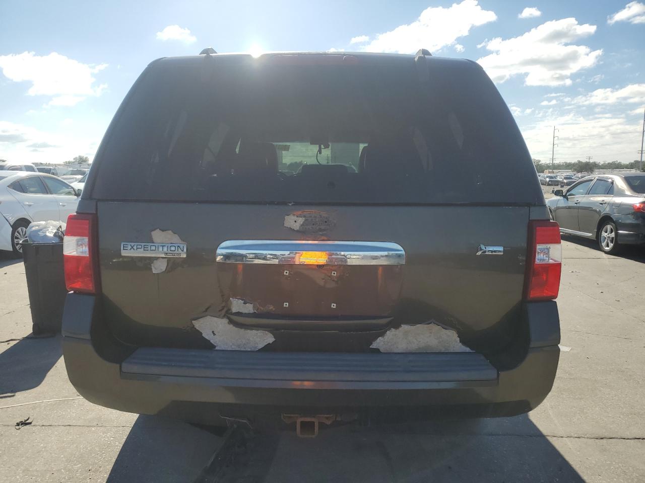 2009 Ford Expedition Limited VIN: 1FMFU20559LA09483 Lot: 80313384