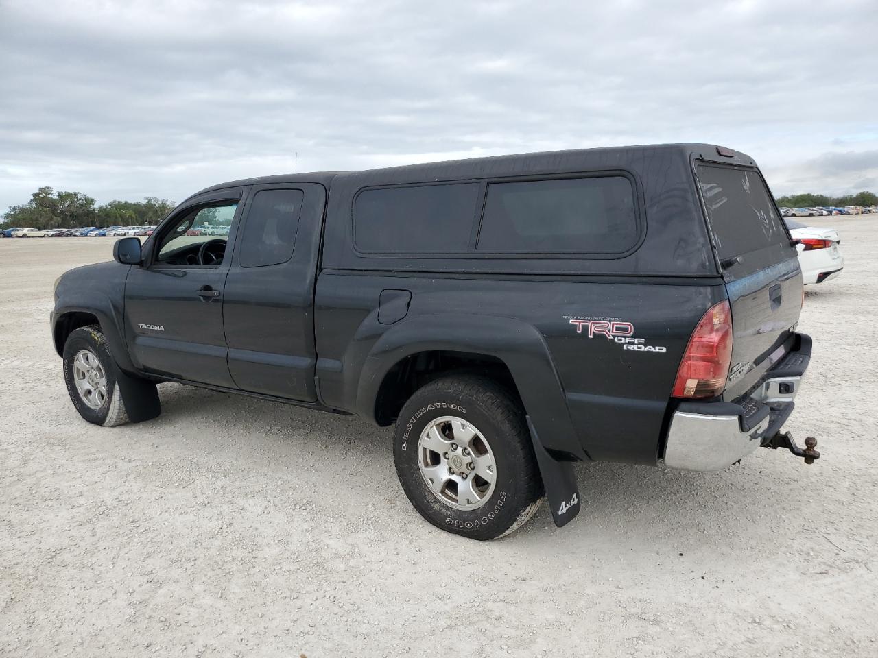 2006 Toyota Tacoma Access Cab VIN: 5TEUU42N16Z206068 Lot: 81053284