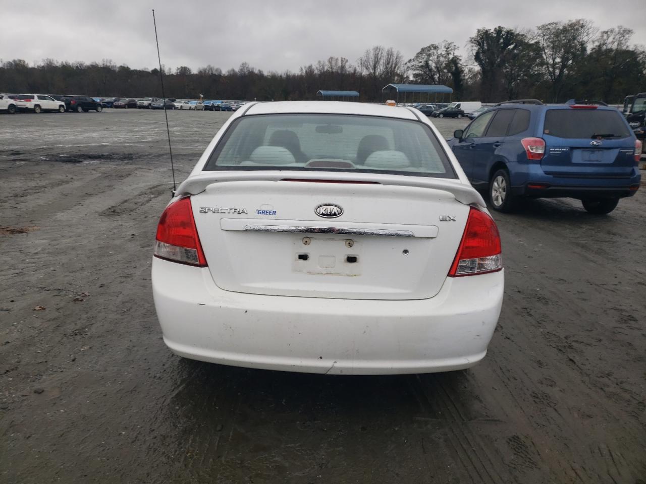 2008 Kia Spectra Ex VIN: KNAFE121285558824 Lot: 80876574