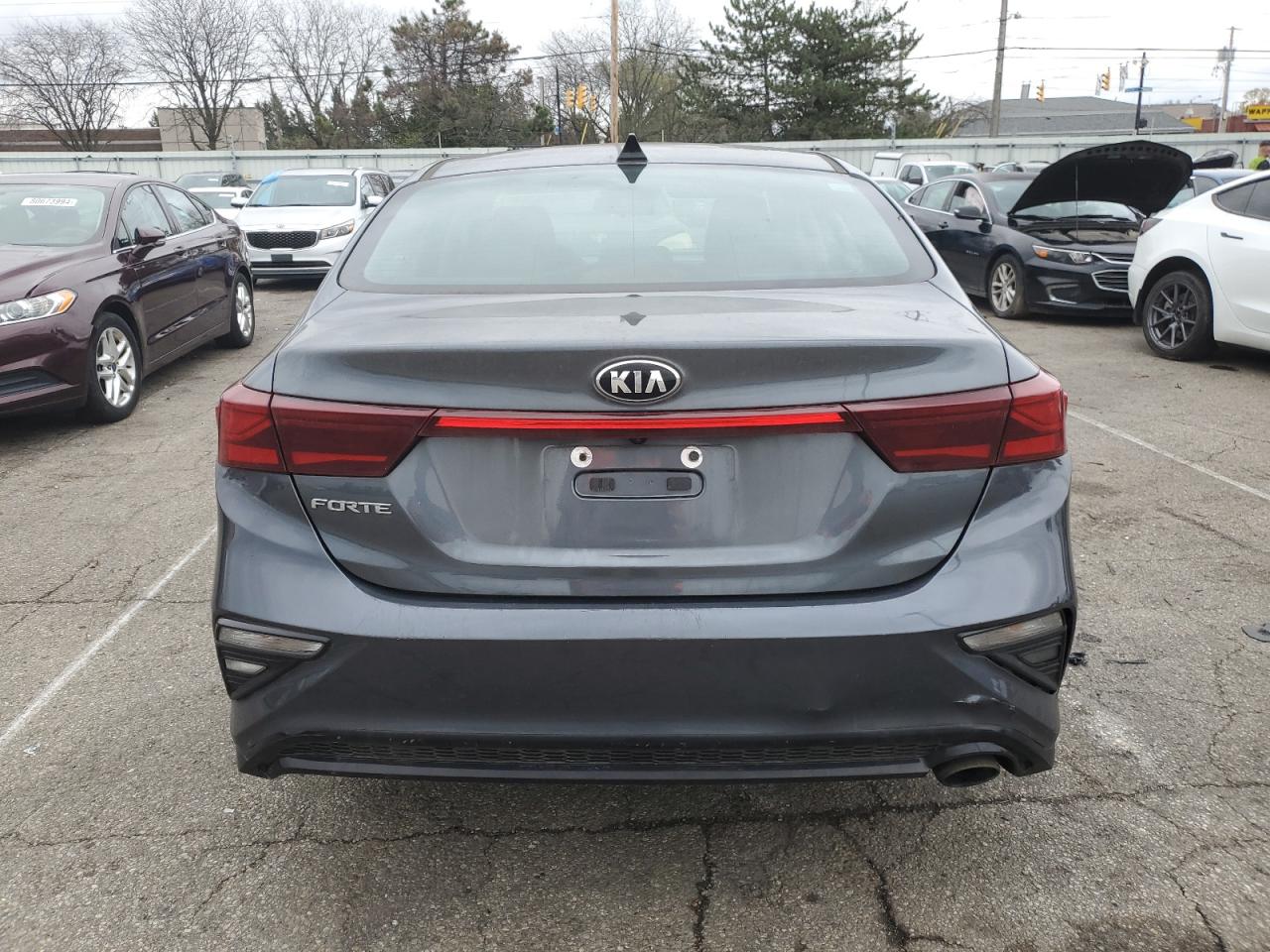 2020 Kia Forte Fe VIN: 3KPF24AD9LE196657 Lot: 80666054