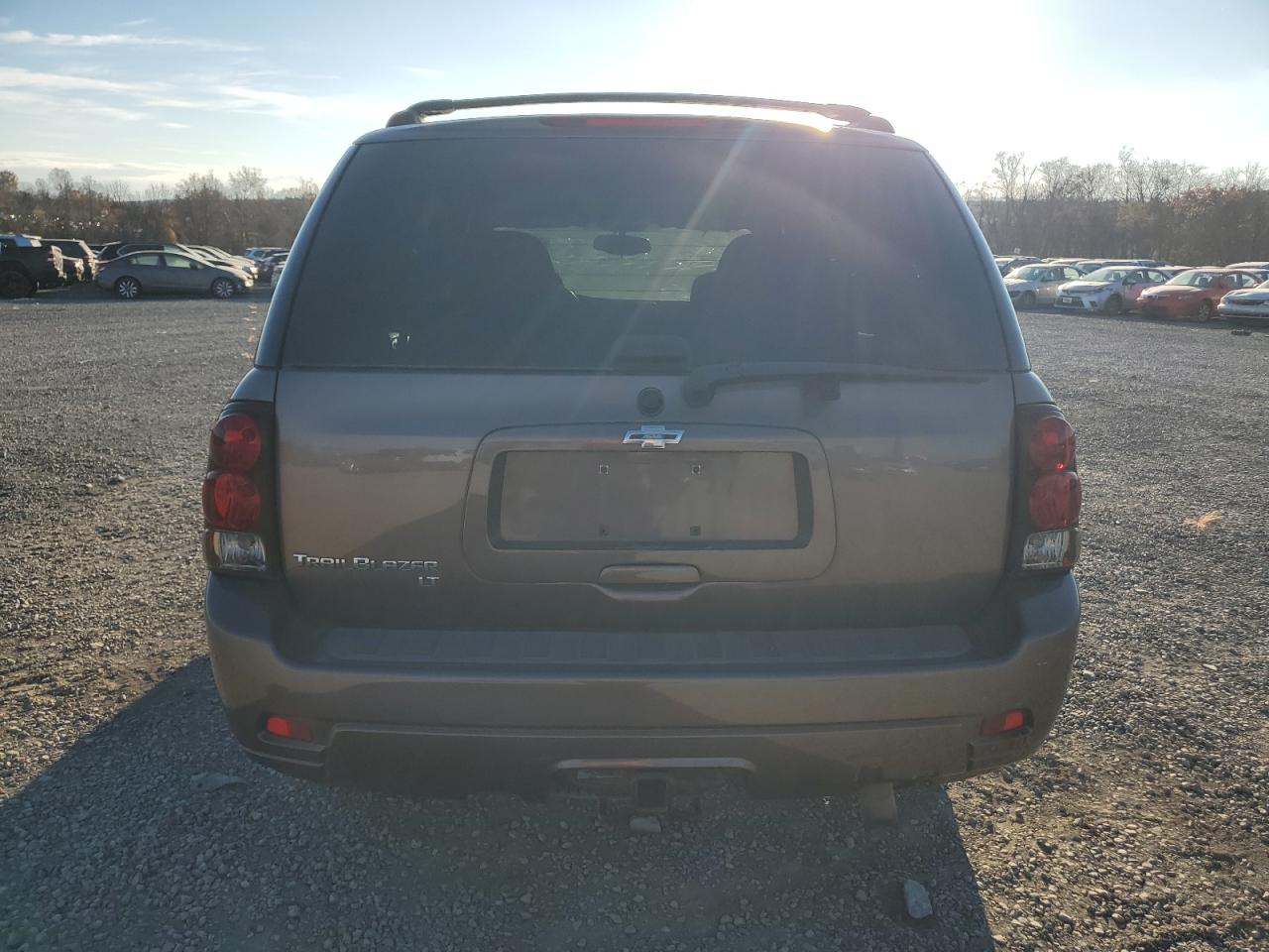 2008 Chevrolet Trailblazer Ls VIN: 1GNDT13S982123587 Lot: 79712184