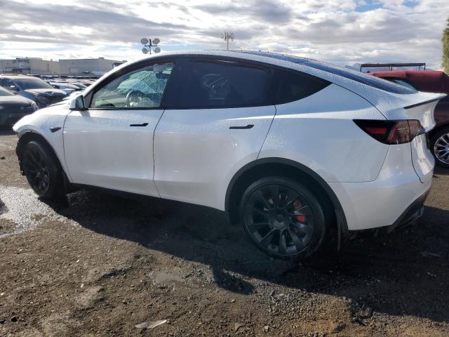  TESLA MODEL Y 2023 Белы