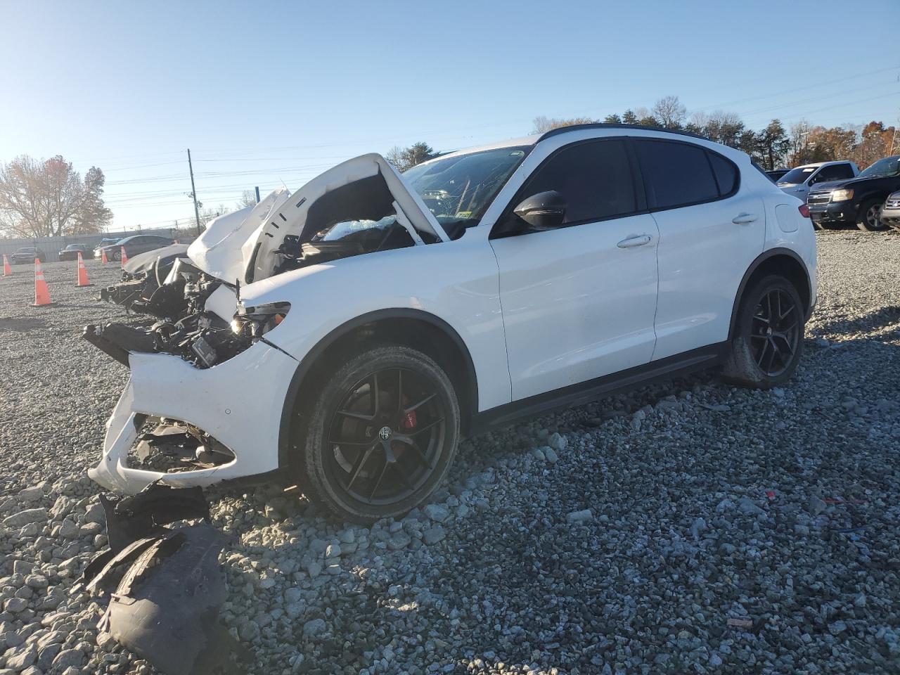 VIN ZASPAJAN5K7C57233 2019 ALFA ROMEO STELVIO no.1