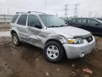 2006 Ford Escape Hev продається в Elgin, IL - Side
