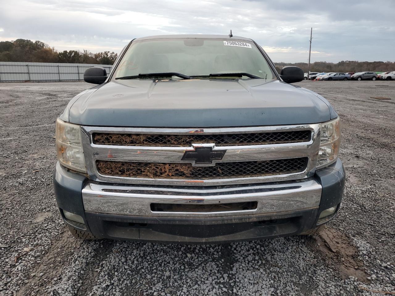 2009 Chevrolet Silverado C1500 VIN: 3GCEC13C59G177807 Lot: 75063284