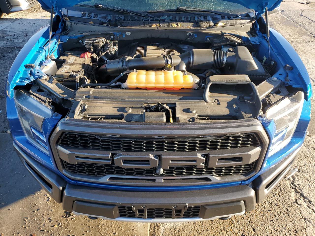 2017 Ford F150 Raptor VIN: 1FTFW1RG7HFC20145 Lot: 79493234