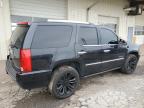 2013 Cadillac Escalade Platinum იყიდება Dyer-ში, IN - Top/Roof