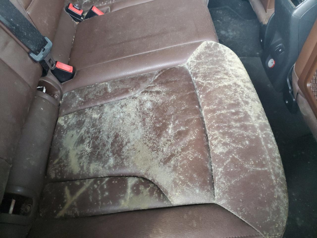 2016 Audi Q3 Premium Plus VIN: WA1BFCFS8GR007036 Lot: 80195924