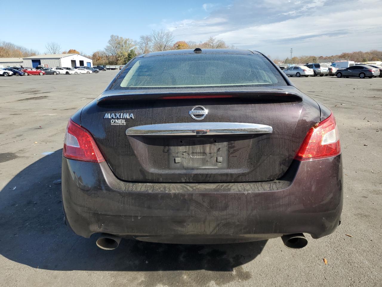 2010 Nissan Maxima S VIN: 1N4AA5AP0AC827822 Lot: 78346774