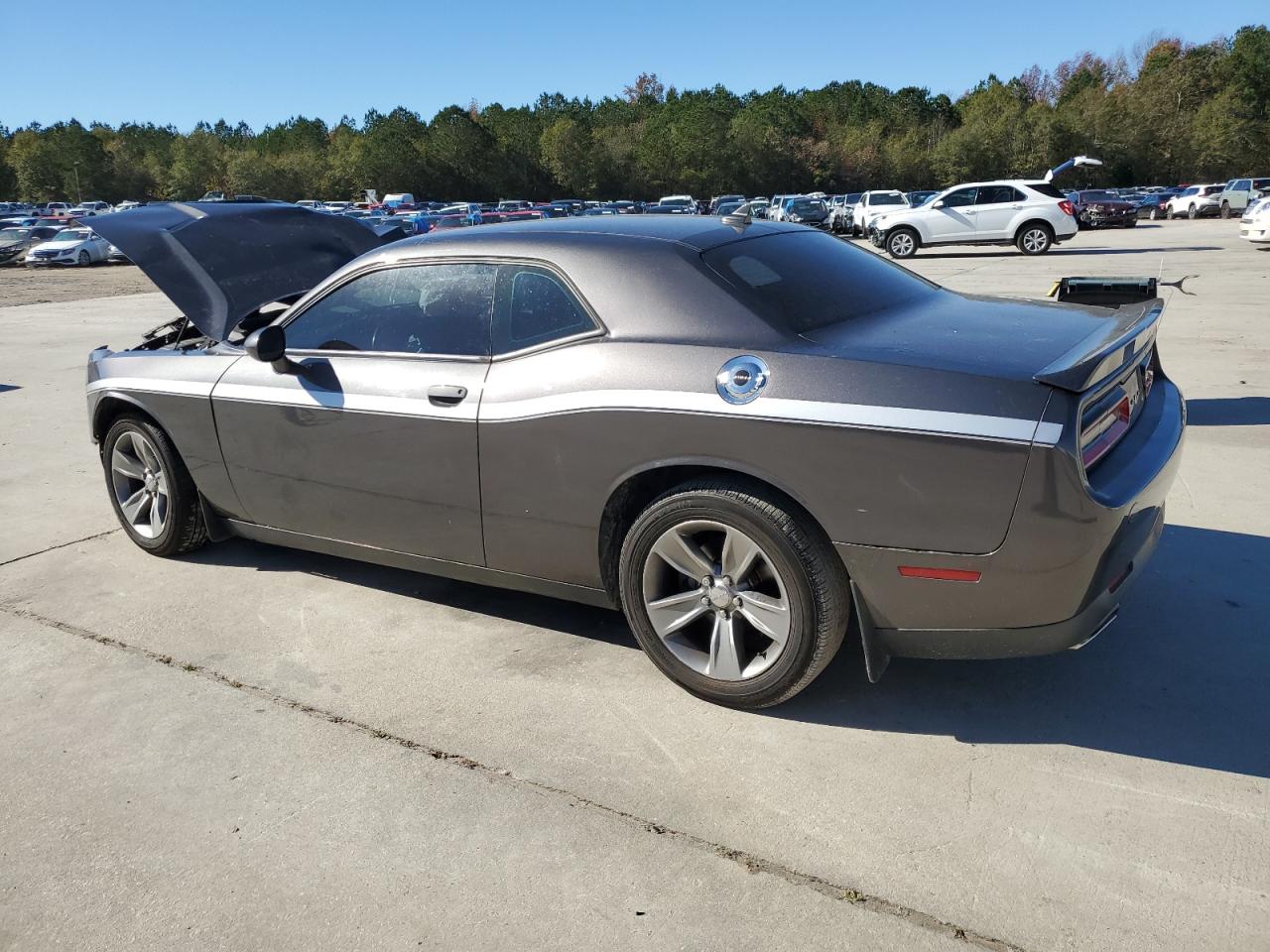 2019 Dodge Challenger - Image 2