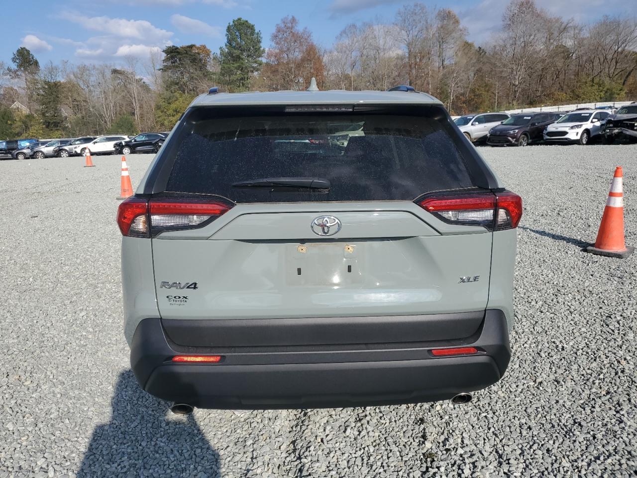 2019 Toyota Rav4 Xle VIN: JTMW1RFVXKD040533 Lot: 79966744