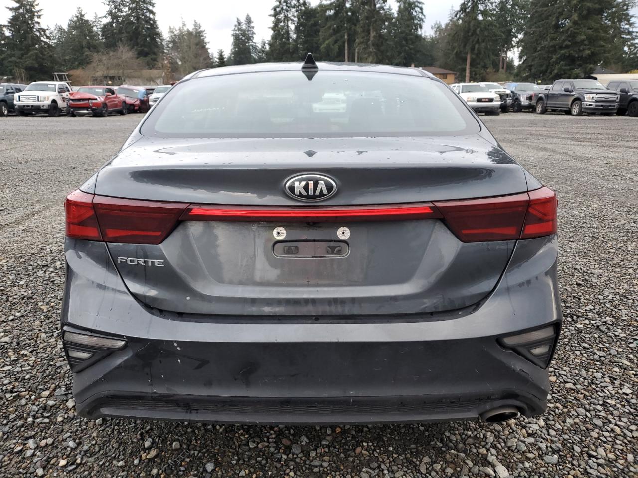 2019 Kia Forte Fe VIN: 3KPF24AD4KE126434 Lot: 81743964