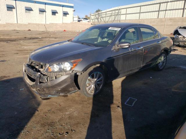 2012 Honda Accord Exl for Sale in Albuquerque, NM - Rear End