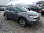 2019 Honda Cr-V Exl за продажба в Louisville, KY - Rear End