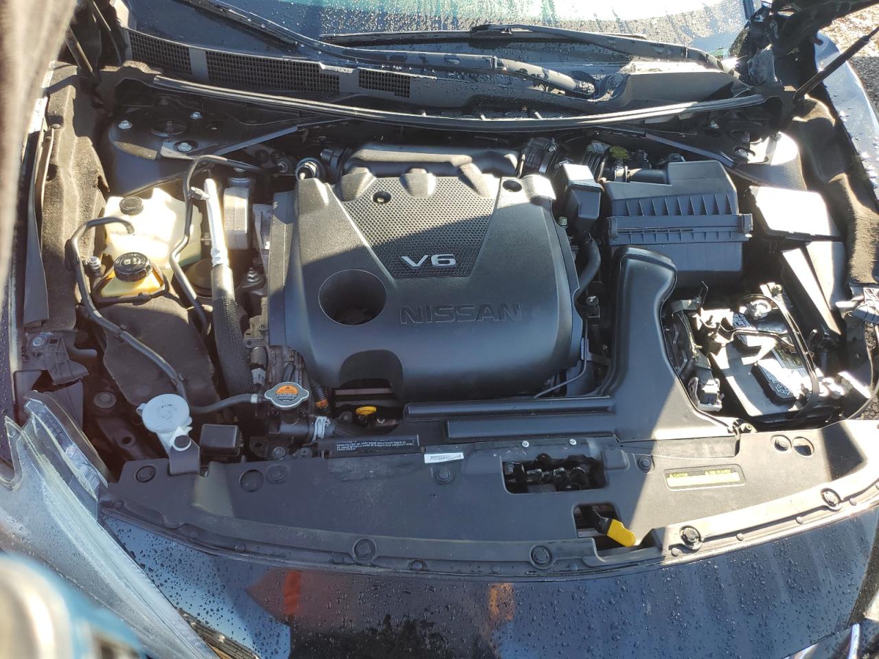 2016 Nissan Maxima VIN: 1N4AA6P3GC392289 Lot: 80640344