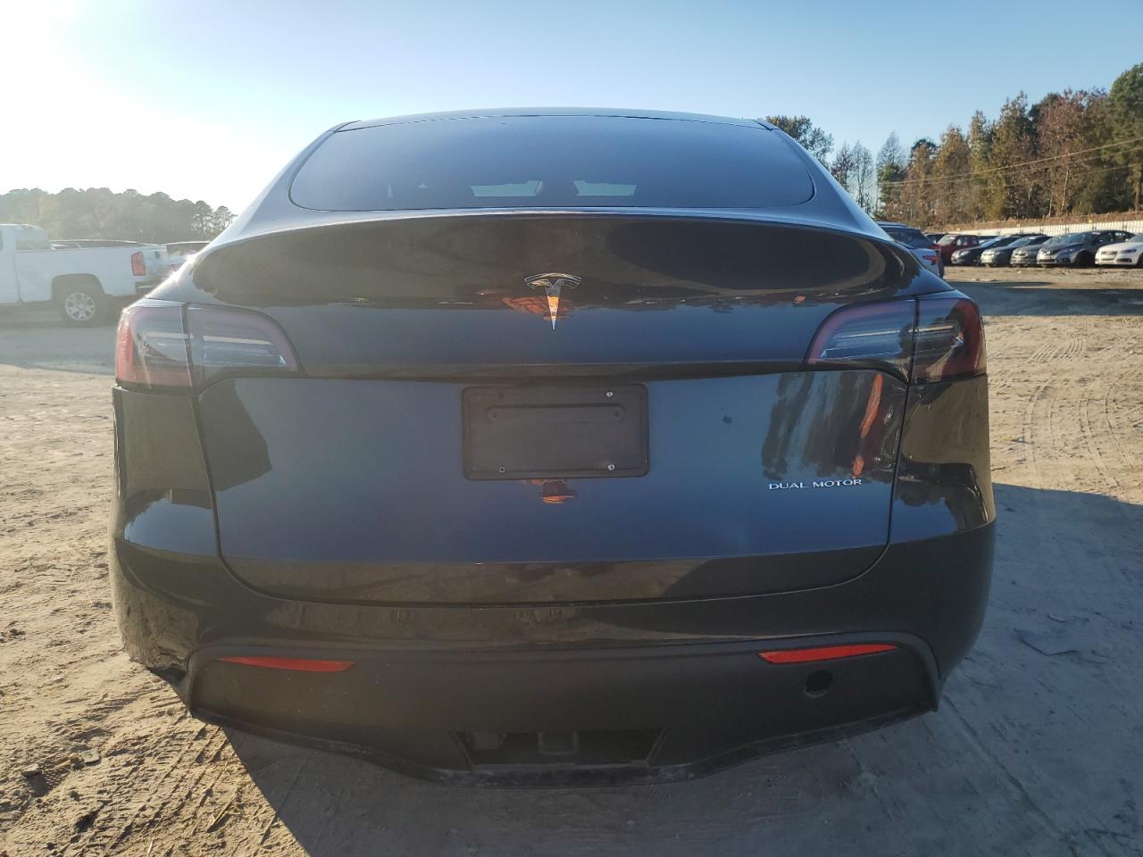 2024 Tesla Model Y VIN: 7SAYGDEE3RF989147 Lot: 79903994