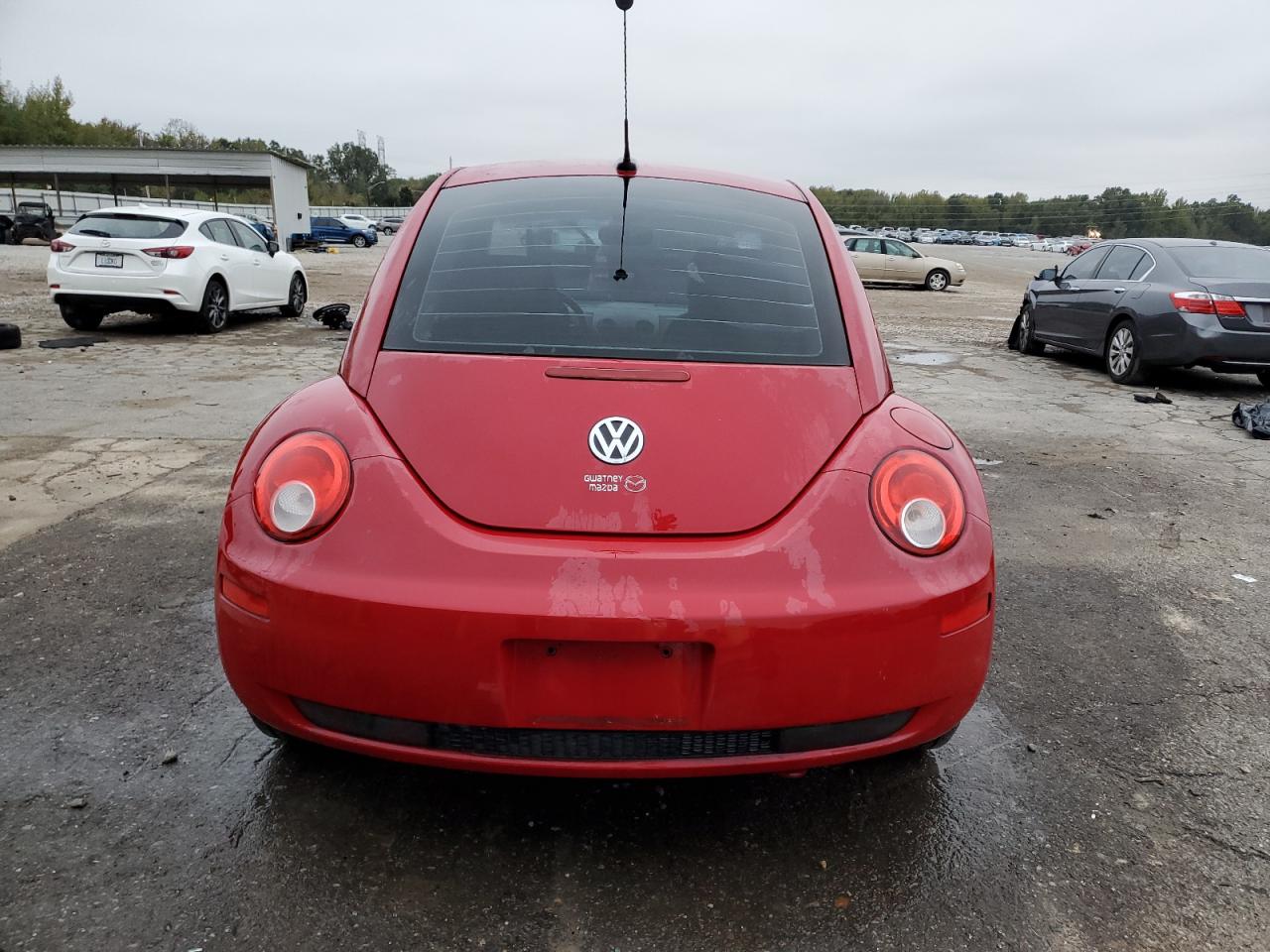 2009 Volkswagen New Beetle S VIN: 3VWPW31C79M503250 Lot: 79869074