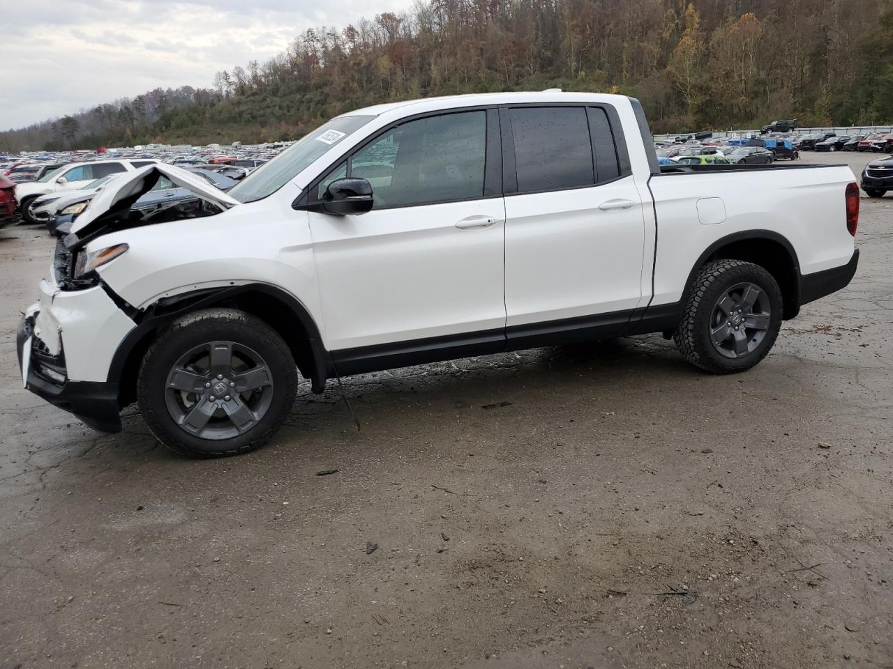 2024 HONDA RIDGELINE