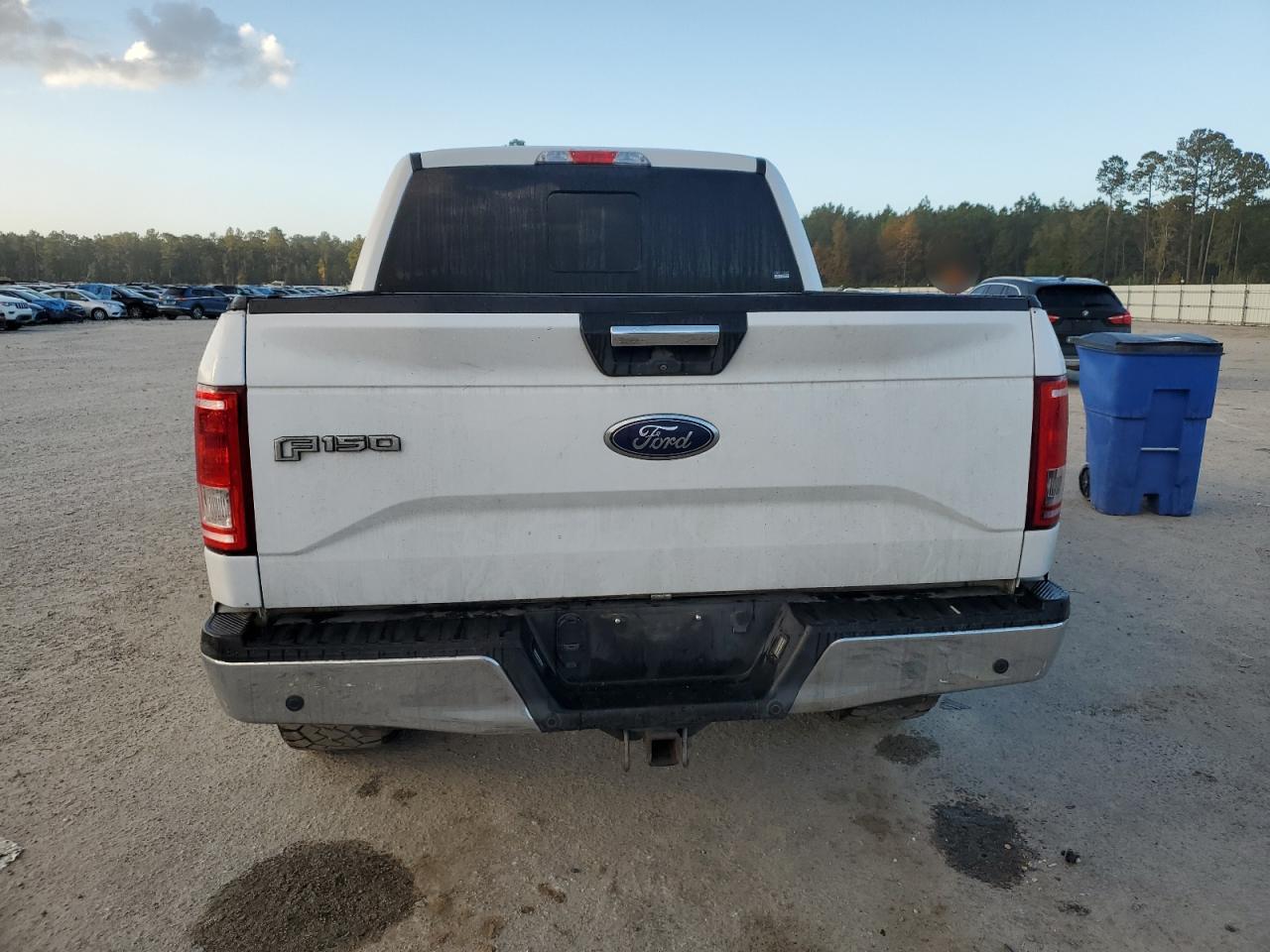 2017 Ford F150 Supercrew VIN: 1FTEW1EG6HFA30919 Lot: 78125494