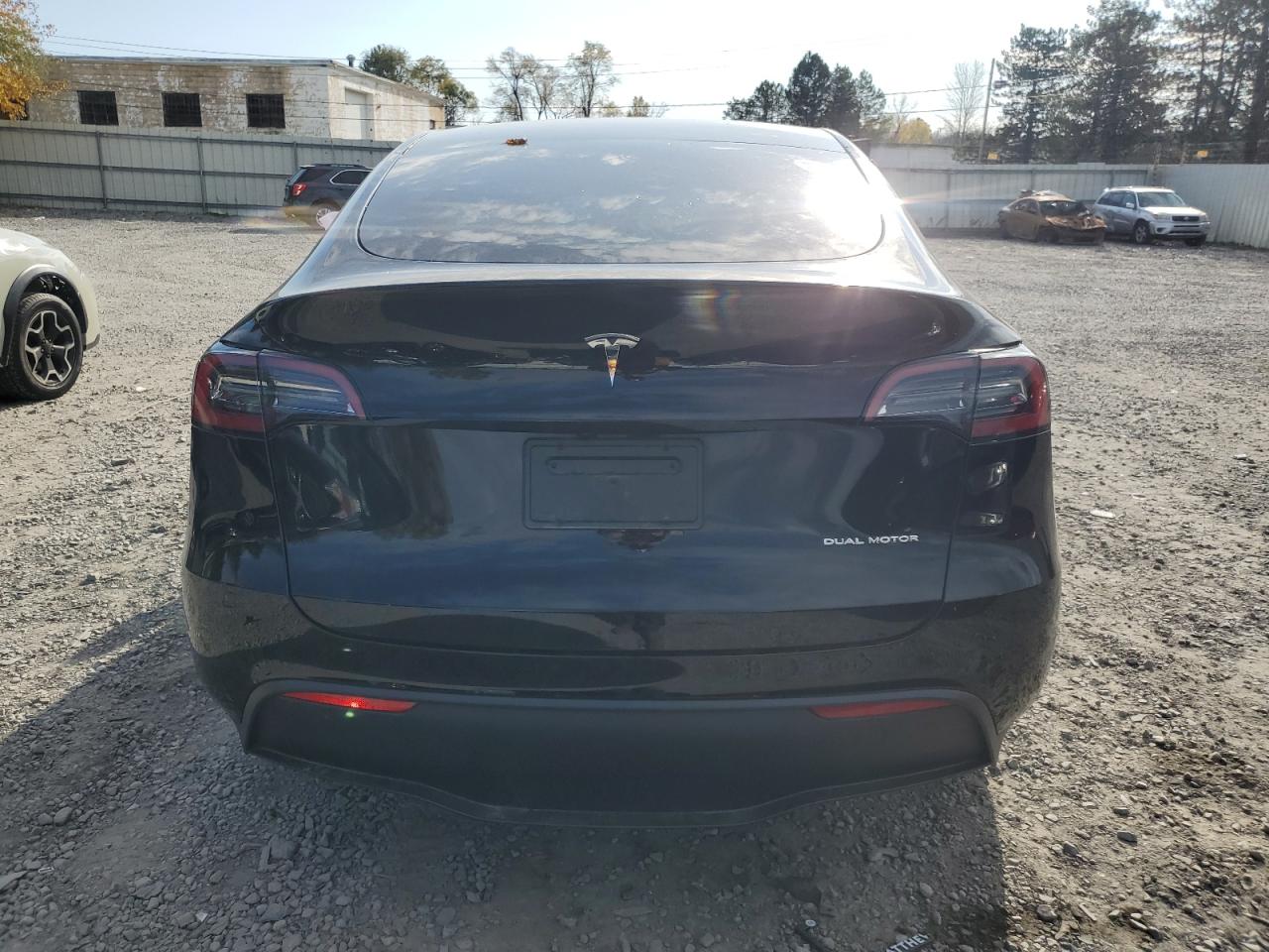 2024 Tesla Model Y VIN: 7SAYGDEE1RA296204 Lot: 79428414