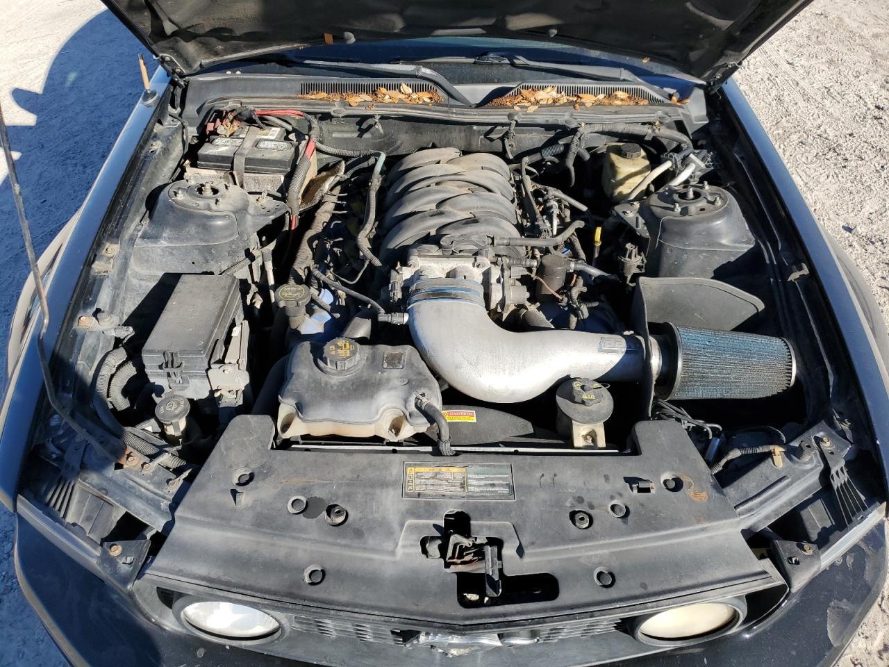 2006 Ford Mustang Gt VIN: 1ZVHT82H465181074 Lot: 80474704