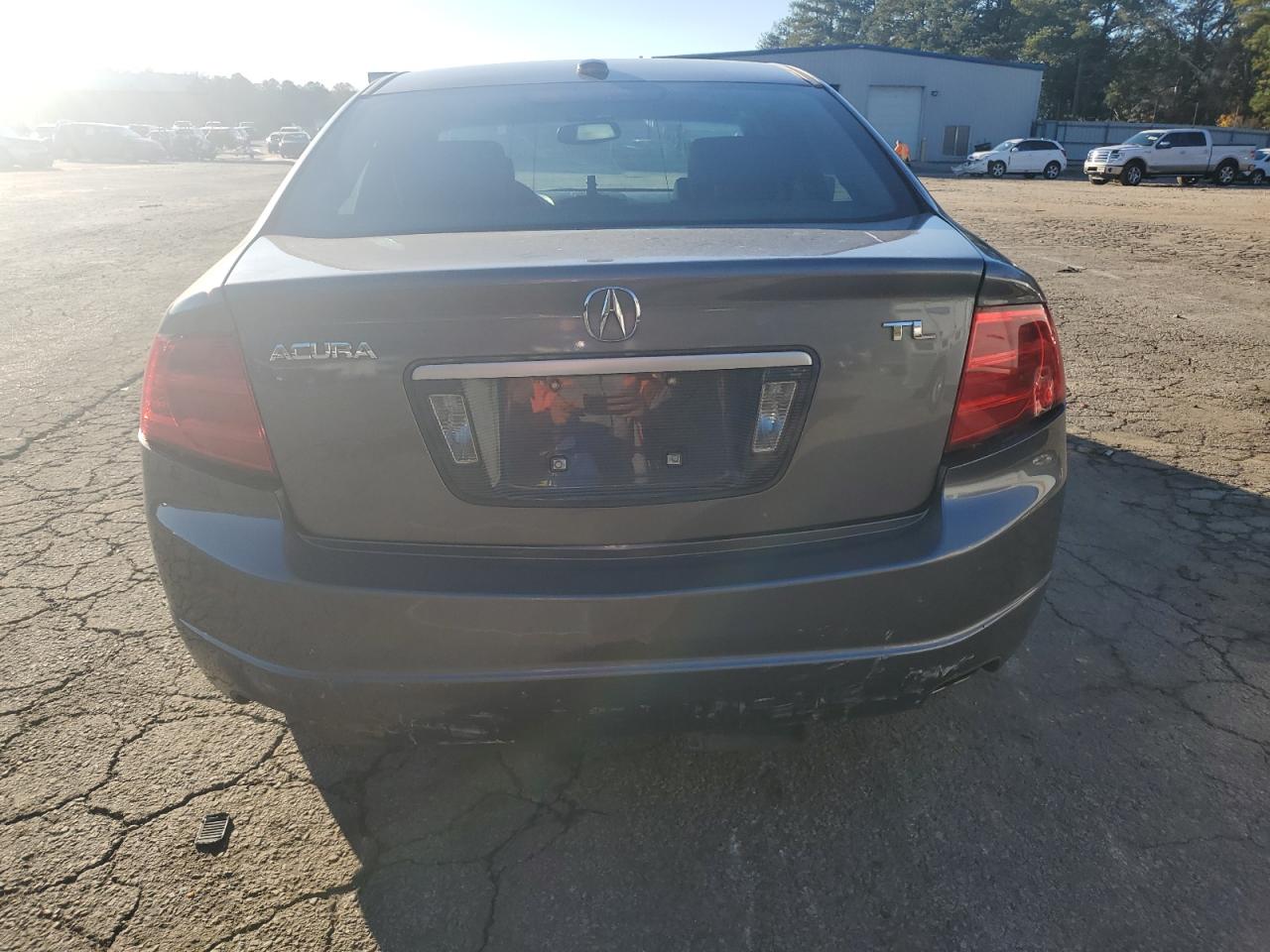 2004 Acura Tl VIN: 19UUA66204A058184 Lot: 81162354