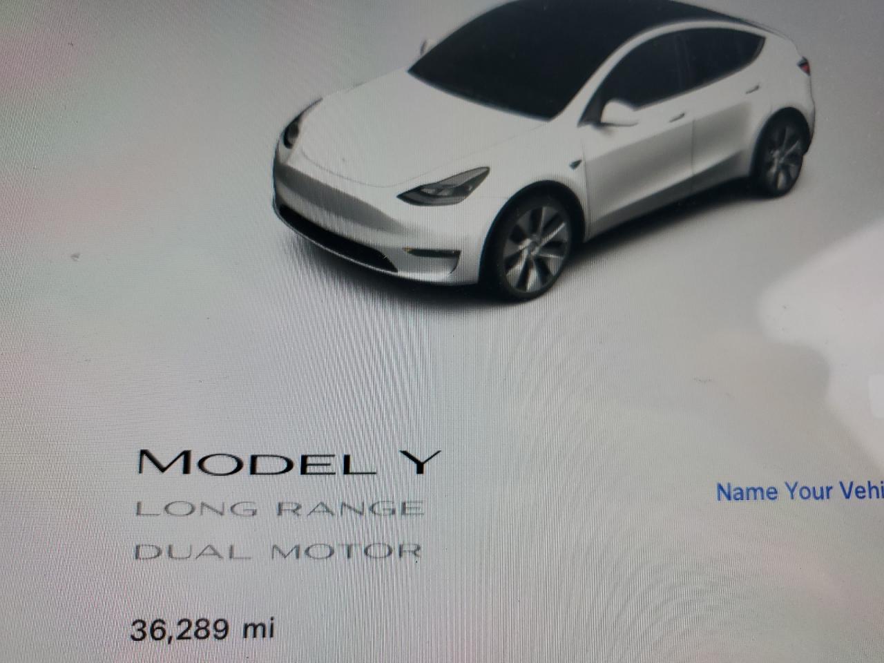 2022 Tesla Model Y VIN: 7SAYGDEE7NF548373 Lot: 81738384