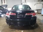 2011 Honda Accord Exl zu verkaufen in Elgin, IL - Front End