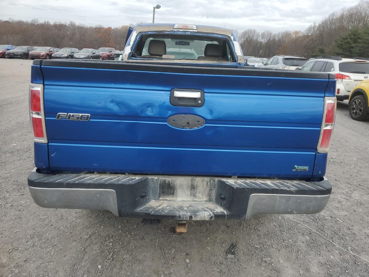 2010 Ford F150 VIN: 1FTMF1EW8AKE10151 Lot: 80701624