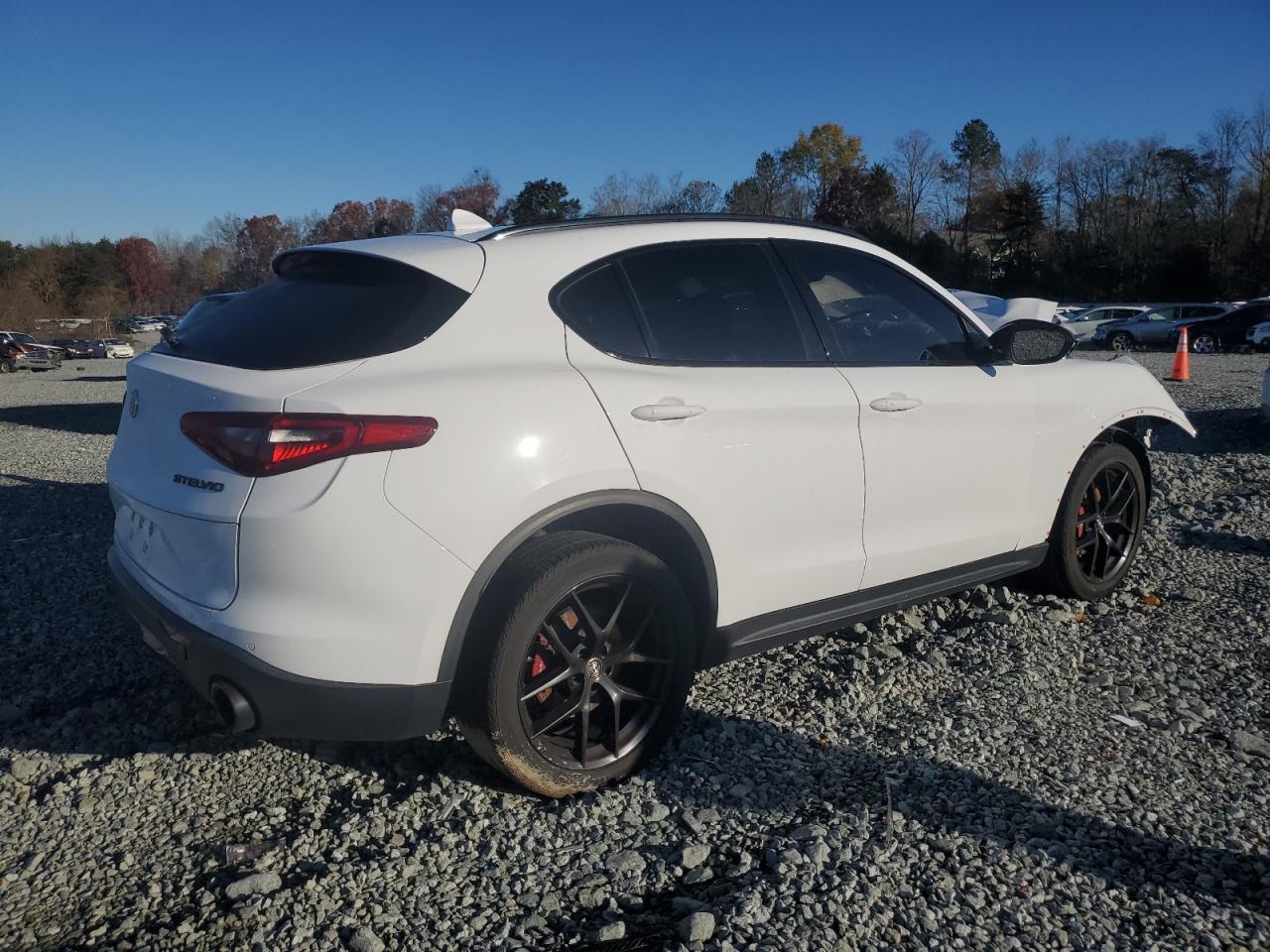 VIN ZASPAJAN5K7C57233 2019 ALFA ROMEO STELVIO no.3