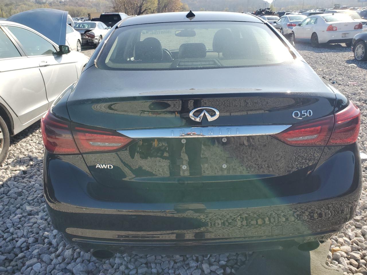 2019 Infiniti Q50 Luxe VIN: JN1EV7AR7KM558620 Lot: 80697754