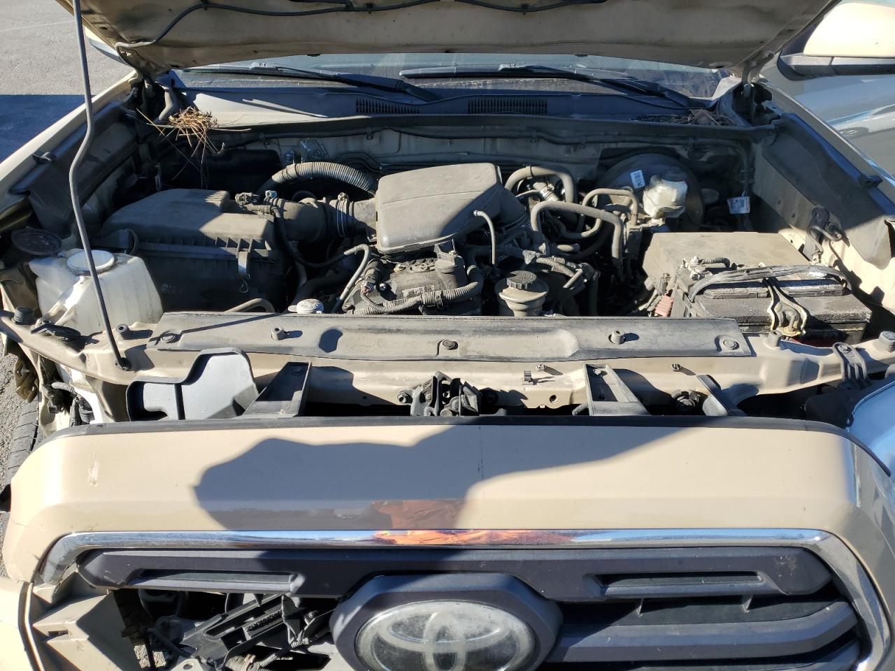 2019 Toyota Tacoma - Image 12