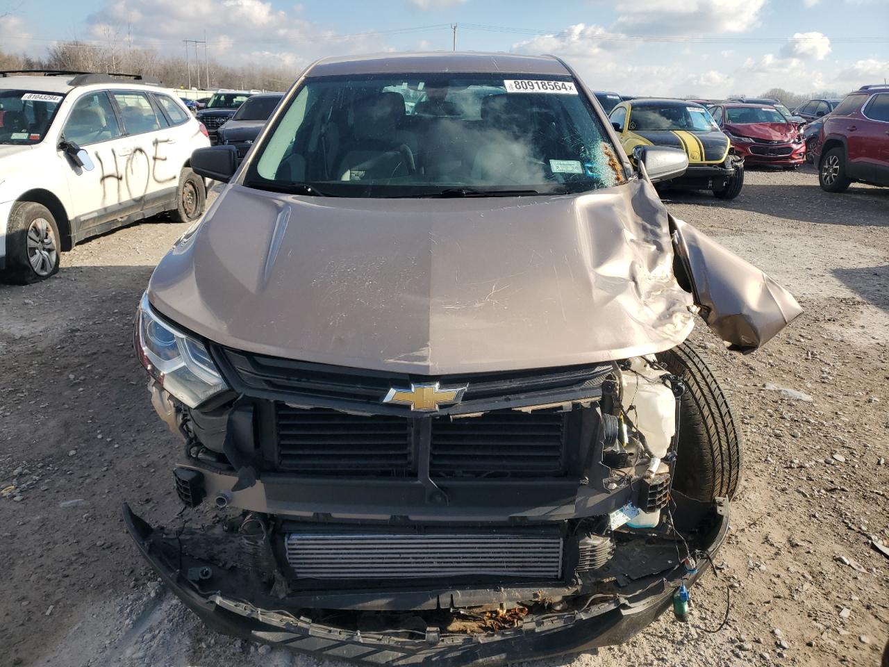 2019 Chevrolet Equinox Ls VIN: 2GNAXSEV0K6206713 Lot: 80918564