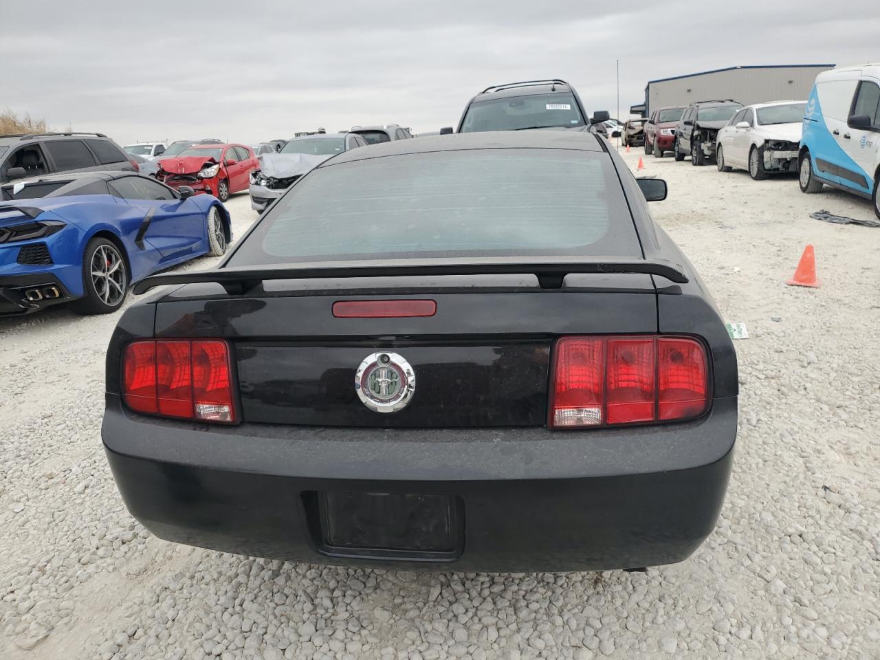 2005 Ford Mustang VIN: 1ZVFT80N655134952 Lot: 78813694